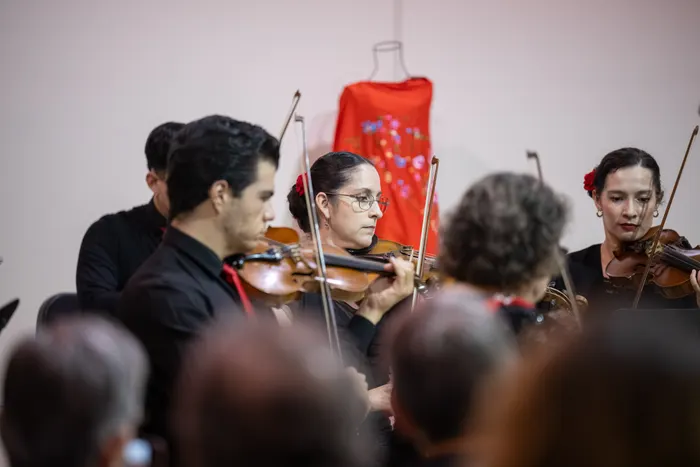 Fotografía 33 del concierto